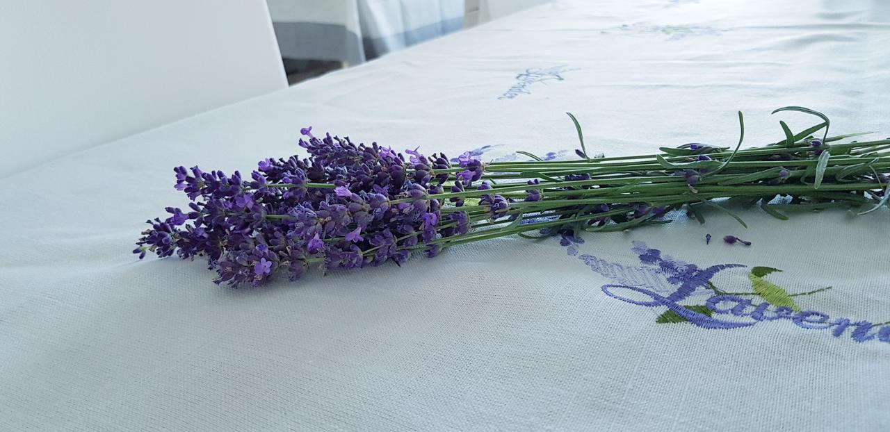 אגרסאלוק Sweet Life Wellness Apartments מראה חיצוני תמונה
